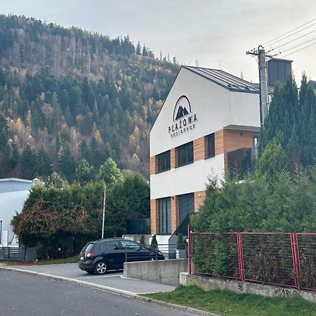 Plazowa Gray Apartament Szczyrk Eksteriør bilde